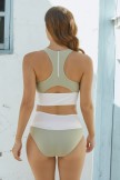 Brown Colorblock Cut Back Bikini Set